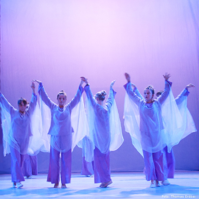 Vivaldi Vier Jahreszeiten Eurythmiefestival